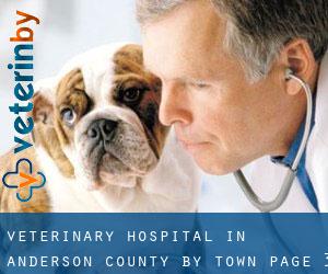 Veterinary Hospital in Anderson County by town - page 3