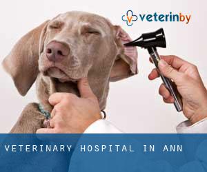 Veterinary Hospital in Ann