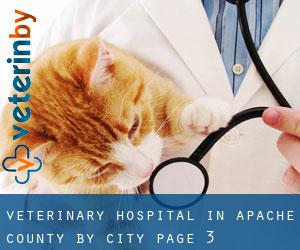 Veterinary Hospital in Apache County by city - page 3