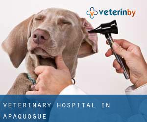 Veterinary Hospital in Apaquogue