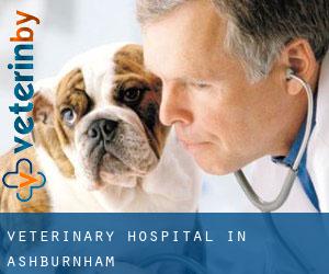 Veterinary Hospital in Ashburnham