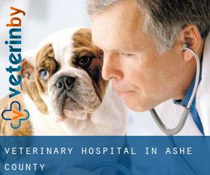 Veterinary Hospital in Ashe County