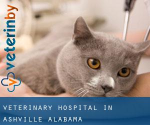 Veterinary Hospital in Ashville (Alabama)