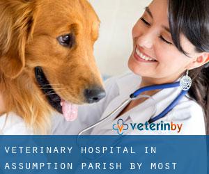 Veterinary Hospital in Assumption Parish by most populated area - page 1