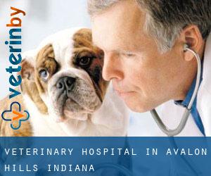 Veterinary Hospital in Avalon Hills (Indiana)