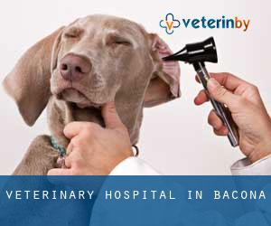 Veterinary Hospital in Bacona