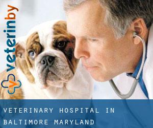 Veterinary Hospital in Baltimore (Maryland)