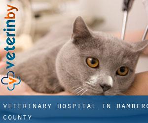 Veterinary Hospital in Bamberg County