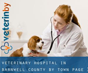 Veterinary Hospital in Barnwell County by town - page 1