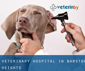 Veterinary Hospital in Barstow Heights