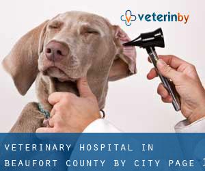 Veterinary Hospital in Beaufort County by city - page 1