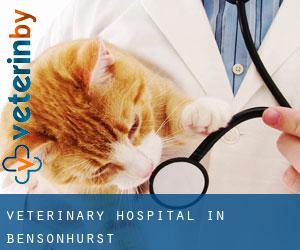 Veterinary Hospital in Bensonhurst