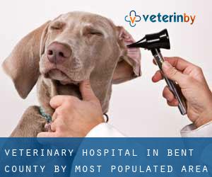 Veterinary Hospital in Bent County by most populated area - page 1