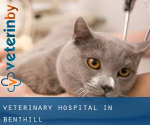 Veterinary Hospital in Benthill