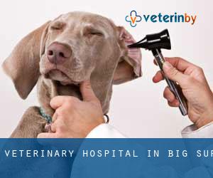 Veterinary Hospital in Big Sur
