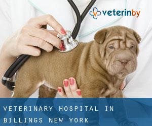 Veterinary Hospital in Billings (New York)