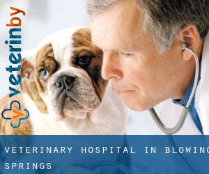 Veterinary Hospital in Blowing Springs
