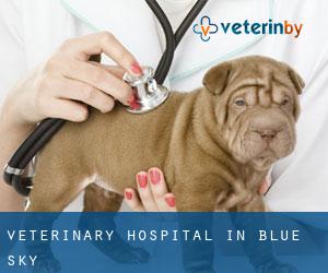 Veterinary Hospital in Blue Sky
