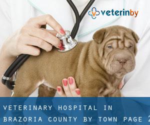 Veterinary Hospital in Brazoria County by town - page 2