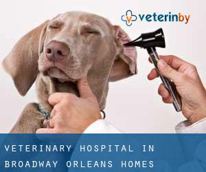 Veterinary Hospital in Broadway-Orleans Homes