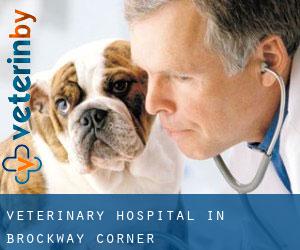 Veterinary Hospital in Brockway Corner