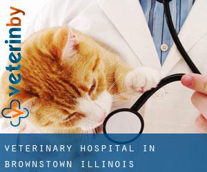 Veterinary Hospital in Brownstown (Illinois)