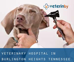 Veterinary Hospital in Burlington Heights (Tennessee)