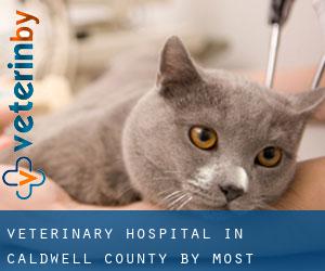 Veterinary Hospital in Caldwell County by most populated area - page 1