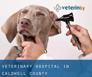 Veterinary Hospital in Caldwell County