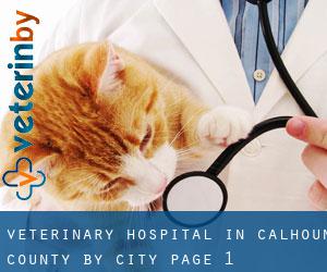 Veterinary Hospital in Calhoun County by city - page 1