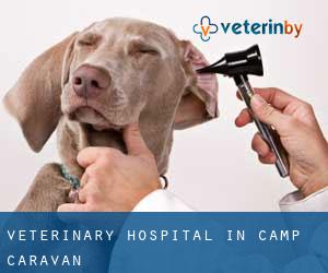 Veterinary Hospital in Camp Caravan