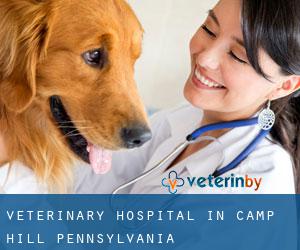 Veterinary Hospital in Camp Hill (Pennsylvania)