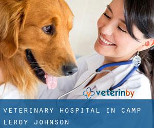 Veterinary Hospital in Camp Leroy Johnson