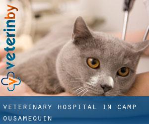 Veterinary Hospital in Camp Ousamequin