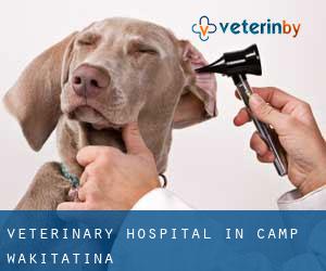 Veterinary Hospital in Camp Wakitatina