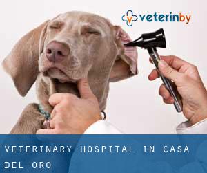 Veterinary Hospital in Casa del Oro