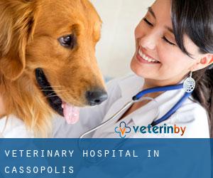 Veterinary Hospital in Cassopolis