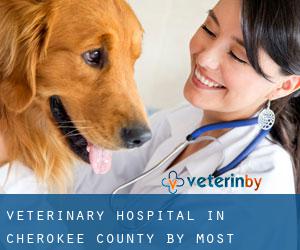 Veterinary Hospital in Cherokee County by most populated area - page 1