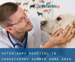 Veterinary Hospital in Chokecherry Summer Home Area