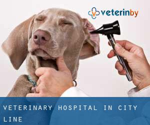 Veterinary Hospital in City Line