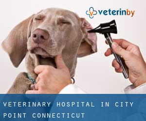 Veterinary Hospital in City Point (Connecticut)