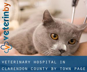 Veterinary Hospital in Clarendon County by town - page 1