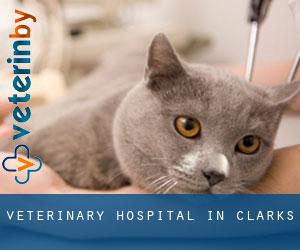 Veterinary Hospital in Clarks