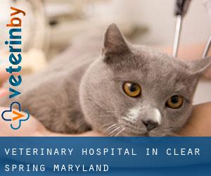 Veterinary Hospital in Clear Spring (Maryland)