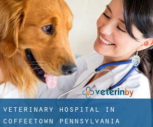 Veterinary Hospital in Coffeetown (Pennsylvania)