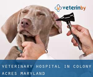 Veterinary Hospital in Colony Acres (Maryland)