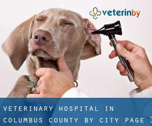 Veterinary Hospital in Columbus County by city - page 1
