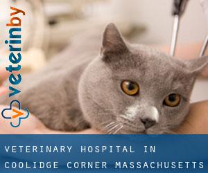 Veterinary Hospital in Coolidge Corner (Massachusetts)
