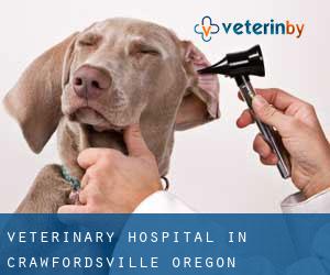 Veterinary Hospital in Crawfordsville (Oregon)