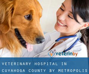 Veterinary Hospital in Cuyahoga County by metropolis - page 2